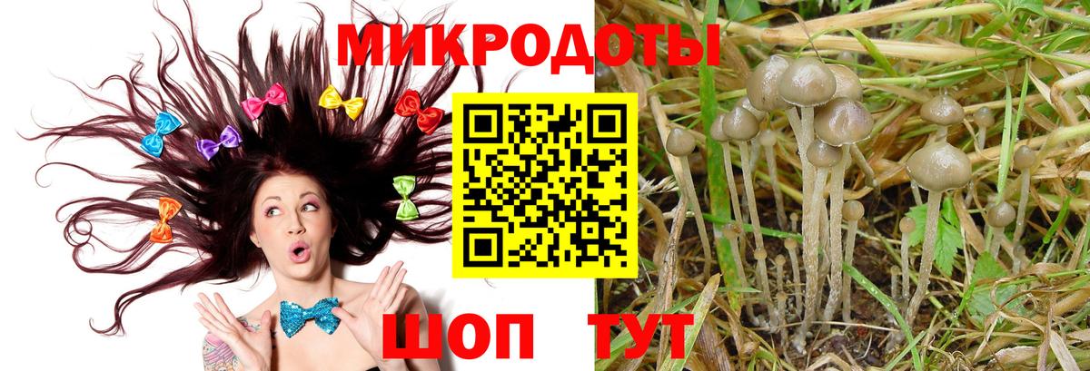 Псилоцибиновые грибы GOLDEN TEACHER Комсомольск-на-Амуре